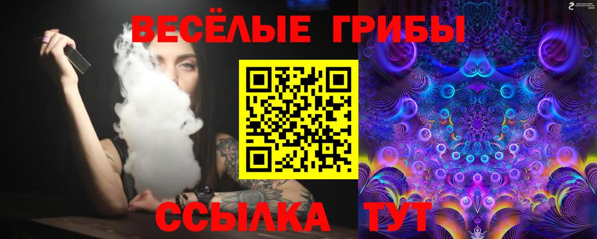 Галлюциногенные грибы прущие грибы  Вход с VPN  Луховицы 